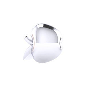 Mini Slider Apple Charm