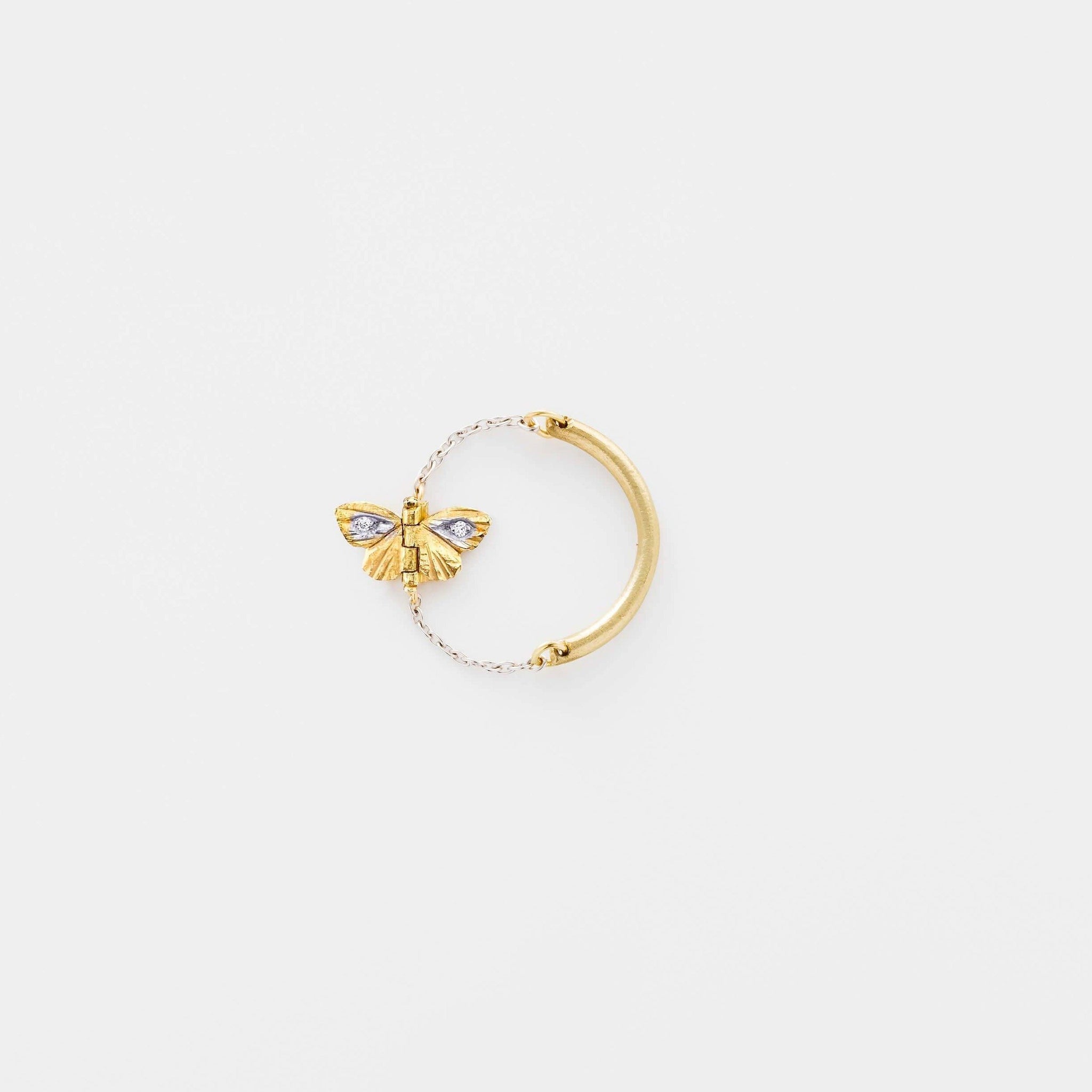 Tiny Asterope Migration Chain Ring