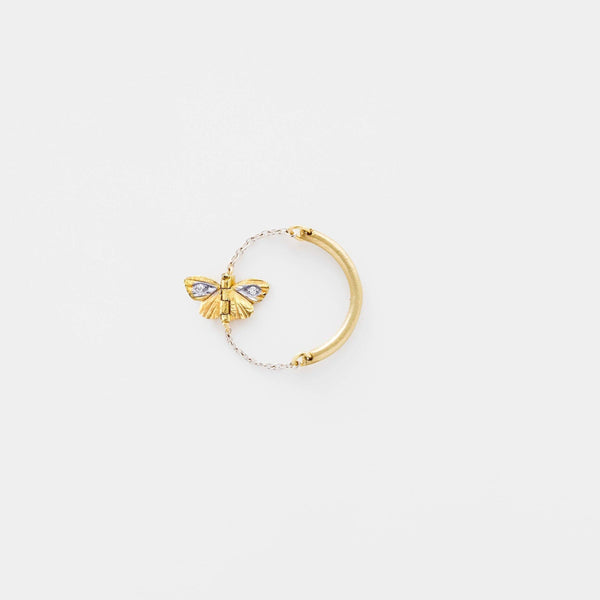 Tiny Asterope Migration Chain Ring