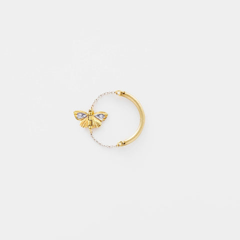 Tiny Asterope Migration Chain Ring