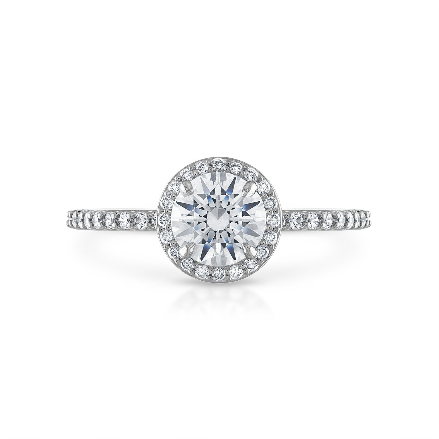 Round Pave Halo Engagement Ring in Platinum