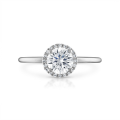 Link to the Prism Bleu Product