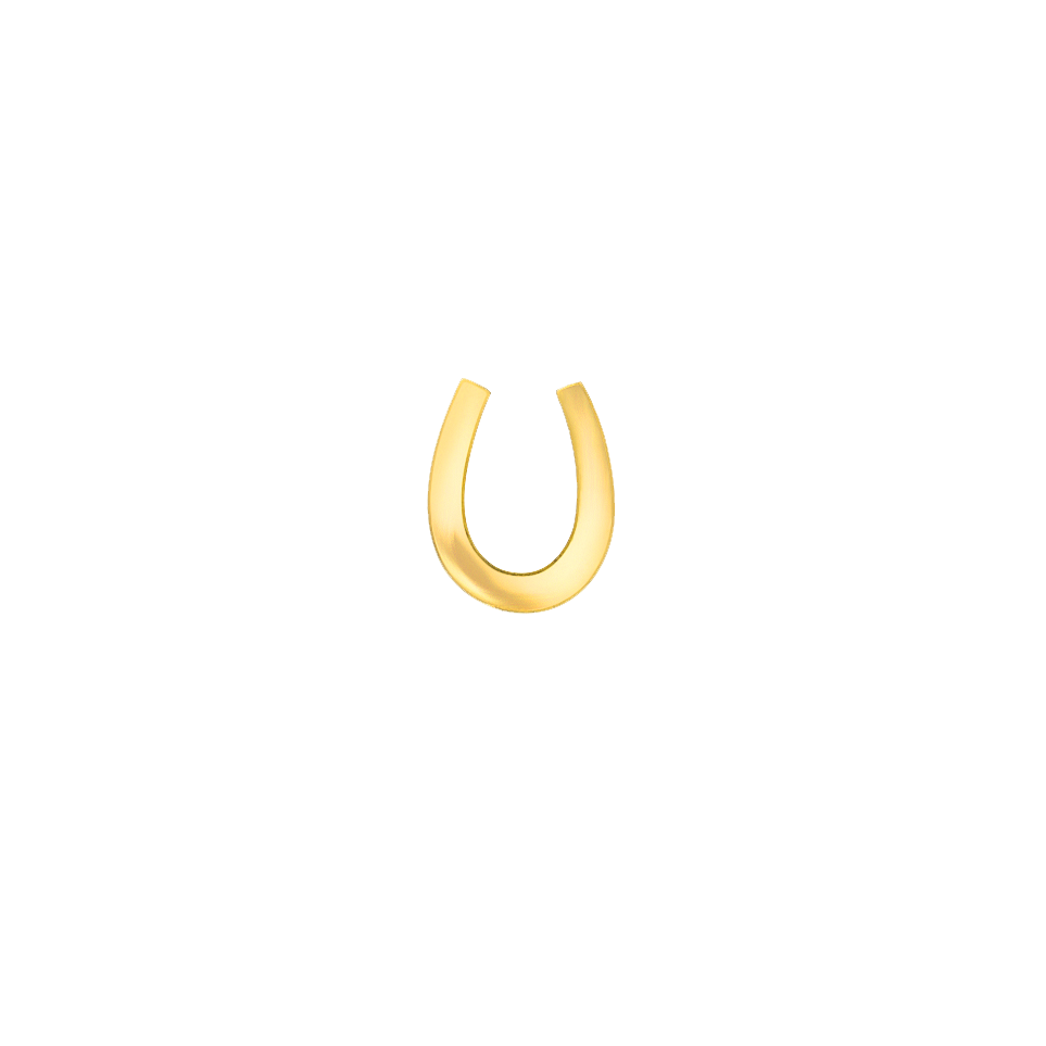 Gold Horseshoe